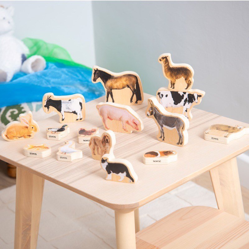 Wooden Domestic Animal Blocks - 15 Pack - ABC School Supplies