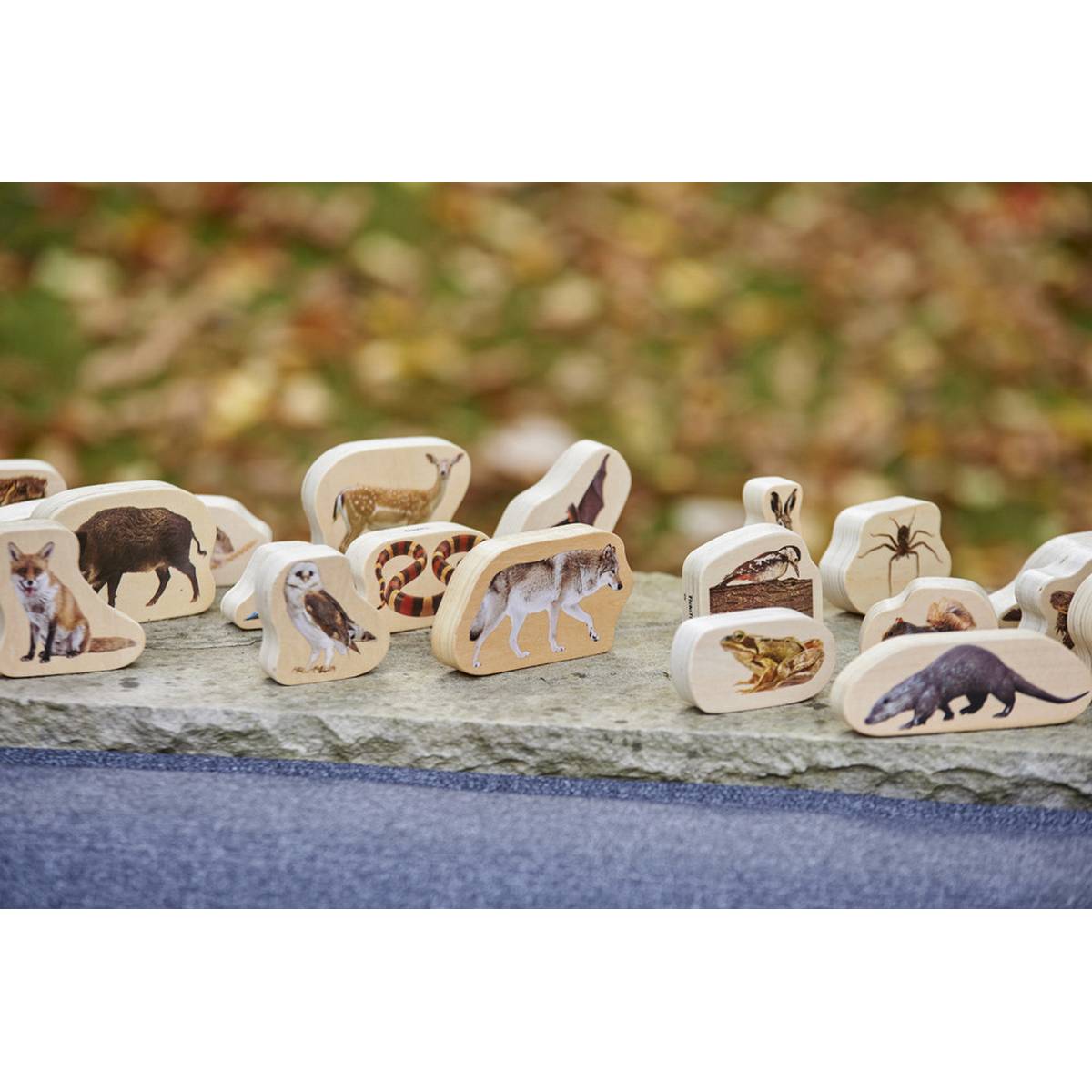 **Wooden Forest Animal Blocks Pack Of 30 - ABC School Supplies