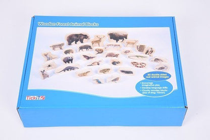 **Wooden Forest Animal Blocks Pack Of 30 - ABC School Supplies