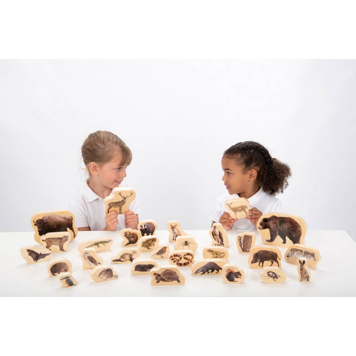 **Wooden Forest Animal Blocks Pack Of 30 - ABC School Supplies