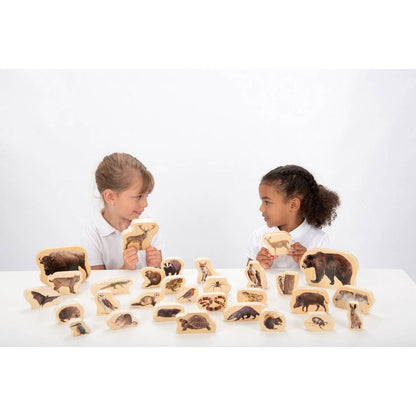 **Wooden Forest Animal Blocks Pack Of 30 - ABC School Supplies