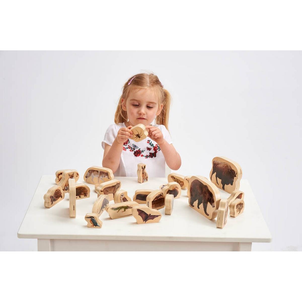 **Wooden Forest Animal Blocks Pack Of 30 - ABC School Supplies