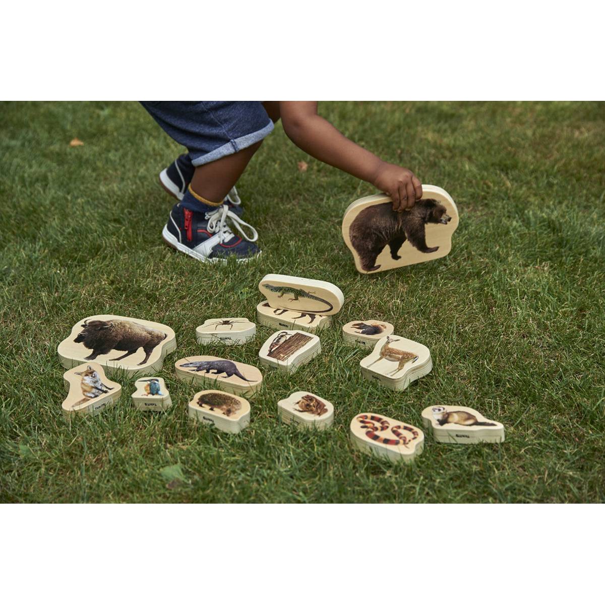 **Wooden Forest Animal Blocks Pack Of 30 - ABC School Supplies