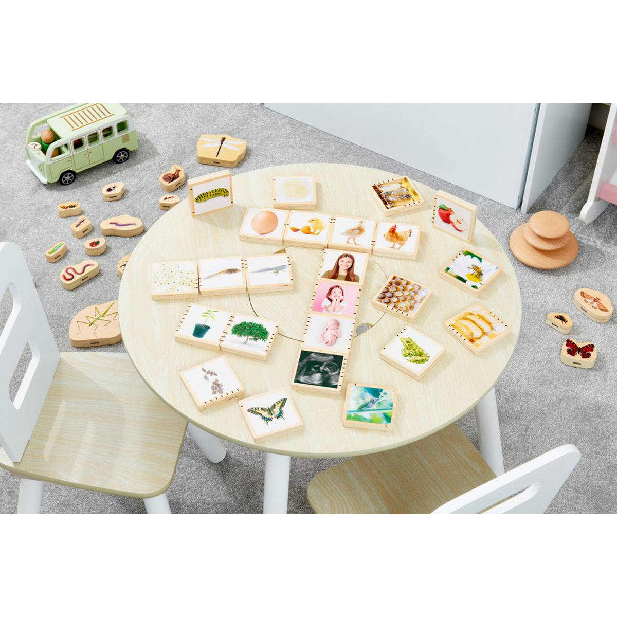 Wooden Lifecycle Tiles - ABC School Supplies