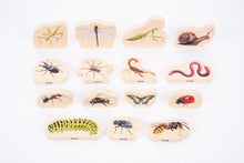 Wooden Minibeast Blocks - ABC School Supplies