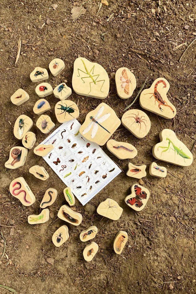 **Wooden Minibeast Blocks - Pk33 - ABC School Supplies