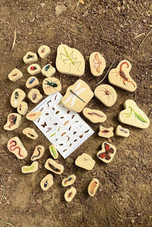 **Wooden Minibeast Blocks - Pk33 - ABC School Supplies