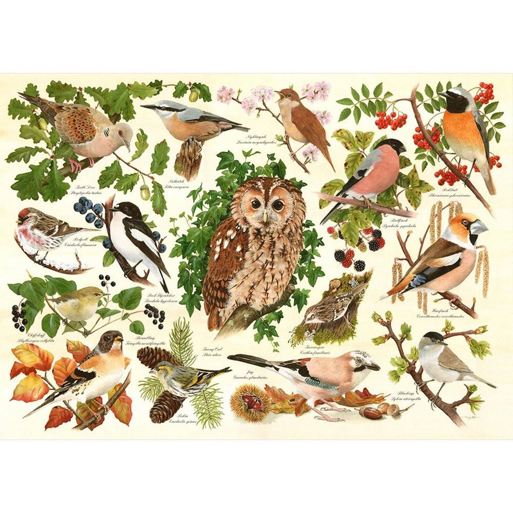 Woodland Birds - BIG 500 Piece Jigsaw Puzzle - ABC School Supplies