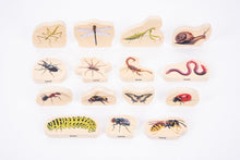 Woodland Bundle - ABC School Supplies