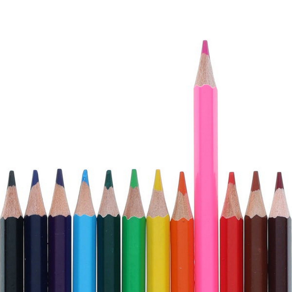 World Of Colour Colouring Pencils Full Size Pack Of 12 - ABC School Supplies