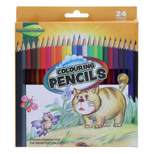 **World Of Colour Colouring Pencils Full Size Pack Of 24 - ABC School Supplies