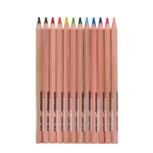 World Of Colour Jumbo Triangle Easy Grip Colouring Pencils Pack Of 12 - ABC School Supplies