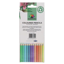 World Of Colour Pastel Colouring Pencils Pack Of 12 - ABC School Supplies