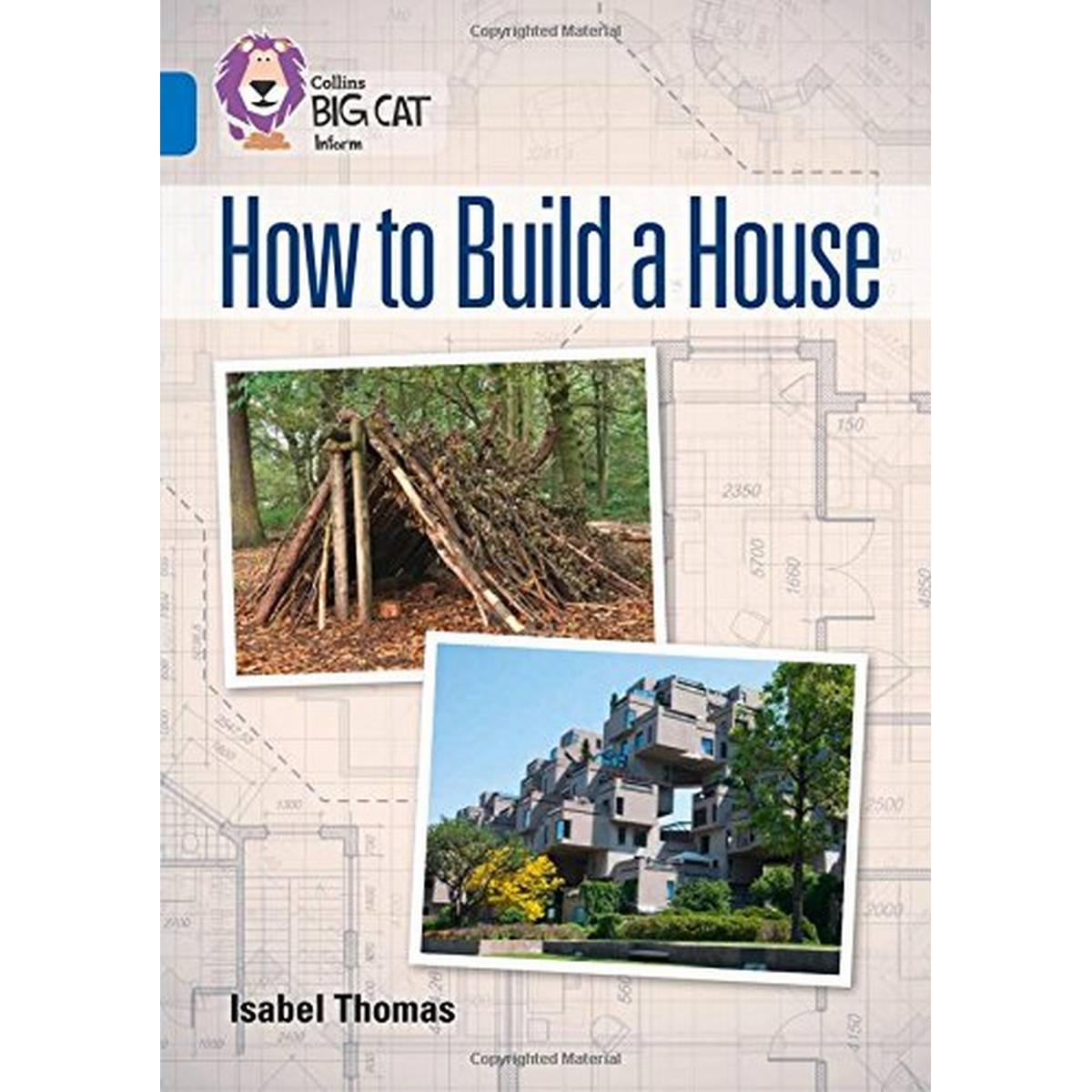 Big Cat Sapphire How to Build a House NF