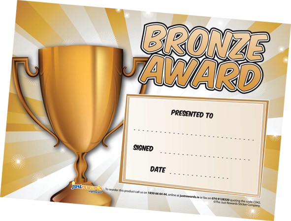 Bronze Award Certificates